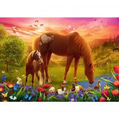 Puzzle 500 pièces : Chevaux dans le pré