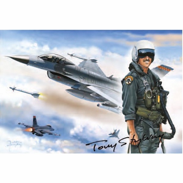Puzzle 1000 pièces - Les légendes de l'US Air Force : F-16 Fighting Falcon - Trefl-10241