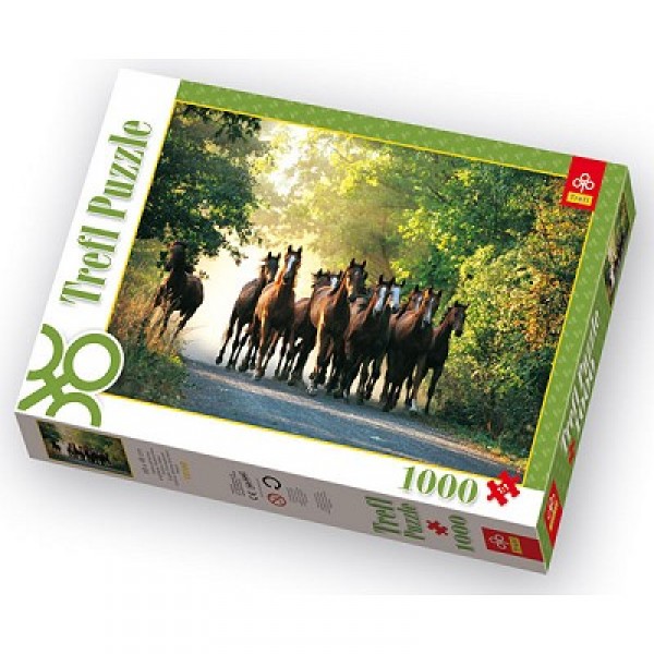Puzzle 1000 pièces - Promenade des chevaux - Trefl-10168