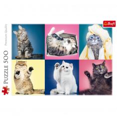 Puzzle 500 pièces : Chatons