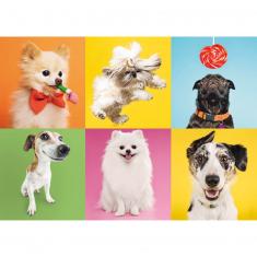 Puzzle 500 pièces : Chiens