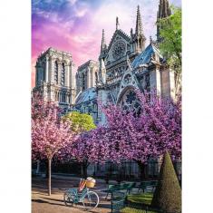 Puzzle 1000 Premium Plus : Cathédrale Notre-Dame de Paris