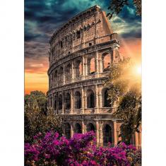  1000 Piece Premium Plus Puzzle: Coliseum, Rome