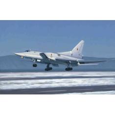 Aircraft model: Tu-22M3 Backfire C strategic bomber