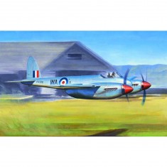 DE Havilland Hornet F.1 - 1:48e - Trumpeter