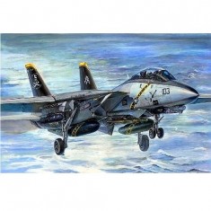 Maquette avion : Grumann F-14B Super Tomcat