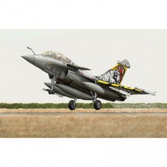 Maquette Avion : Dassault Rafale B