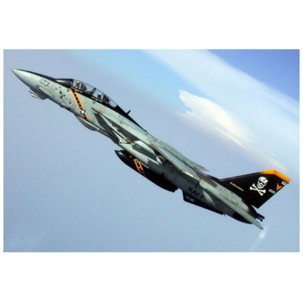 Aircraft model: F-14B Tomcat - Trumpeter-TR03918