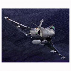 Dassault Rafale Marine-Flugzeugmodell
