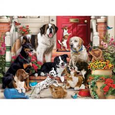 Puzzle 1000 pieces : A Dog's Life  