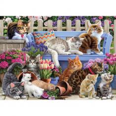 Puzzle 1000 pieces : A Cat's Life  