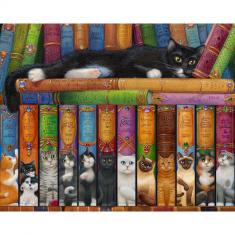 Puzzle 1000 pieces : Cat Bookshelf 