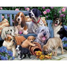 Puzzle 1000 pièces : Chiens sur un banc