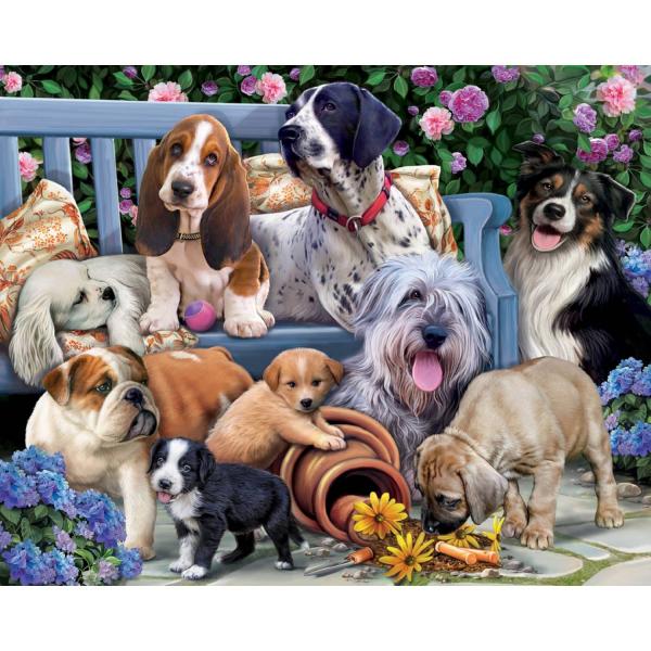 Puzzle 1000 pieces : Dogs on a Bench  - VC0149