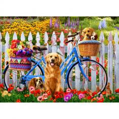 Puzzle 1000 pièces : Chiots à vélo