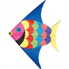 Kite Fish