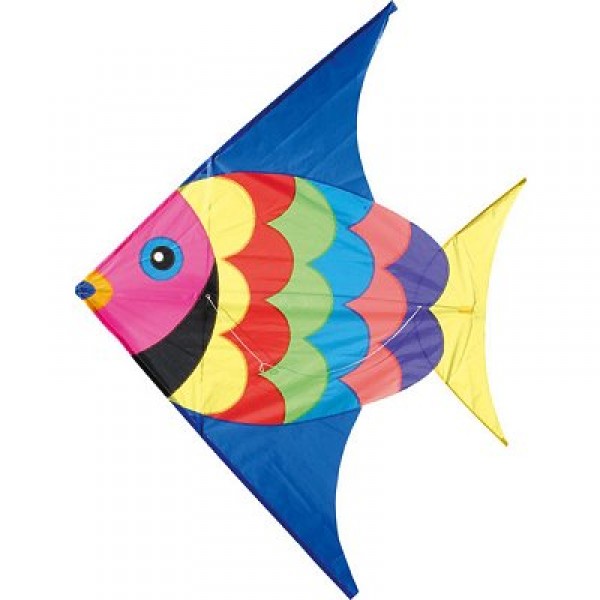 Kite Fish - Vilac-2932