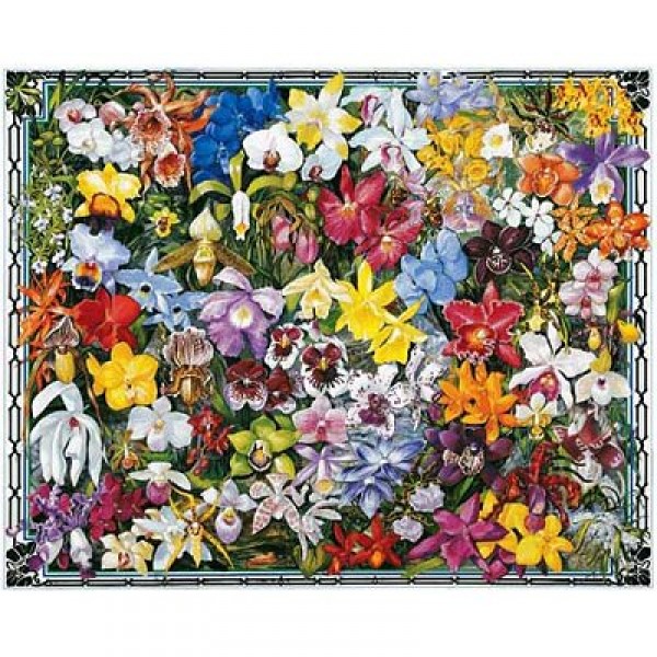 Puzzle 1000 pièces - Les orchidées - White-284