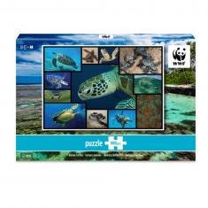 1000 piece jigsaw puzzle: sea turtles 