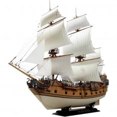 Pirate ship model: Black Swan